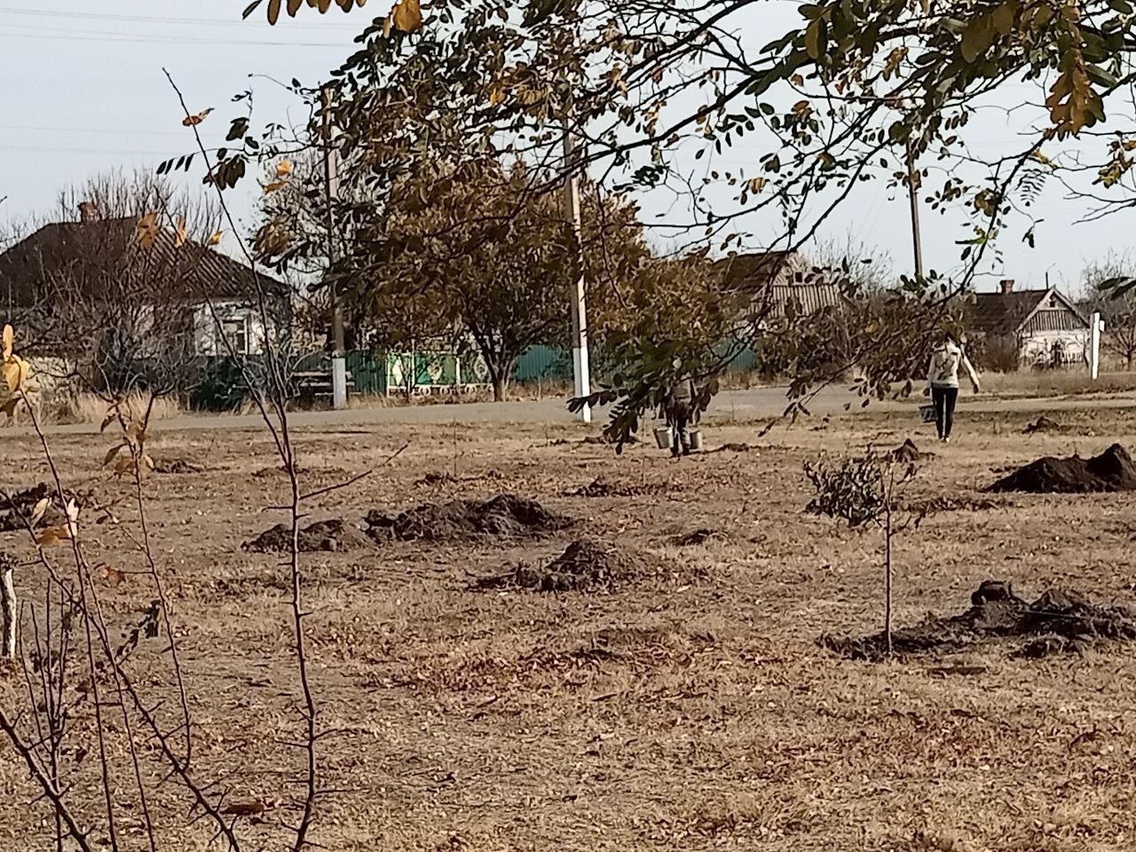 В Шотовке продолжаются работы по озеленению села.